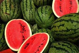 Sandia3