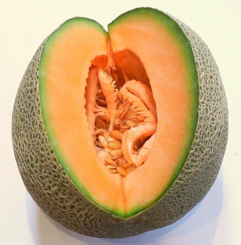 Melon2